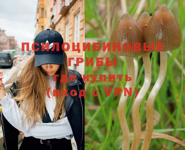 альфа пвп Лихославль