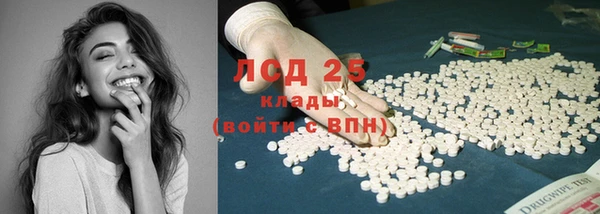 амф Липки